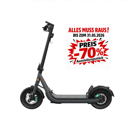 Egret GT – 20 Ah ( 100 KM  Reichweite )