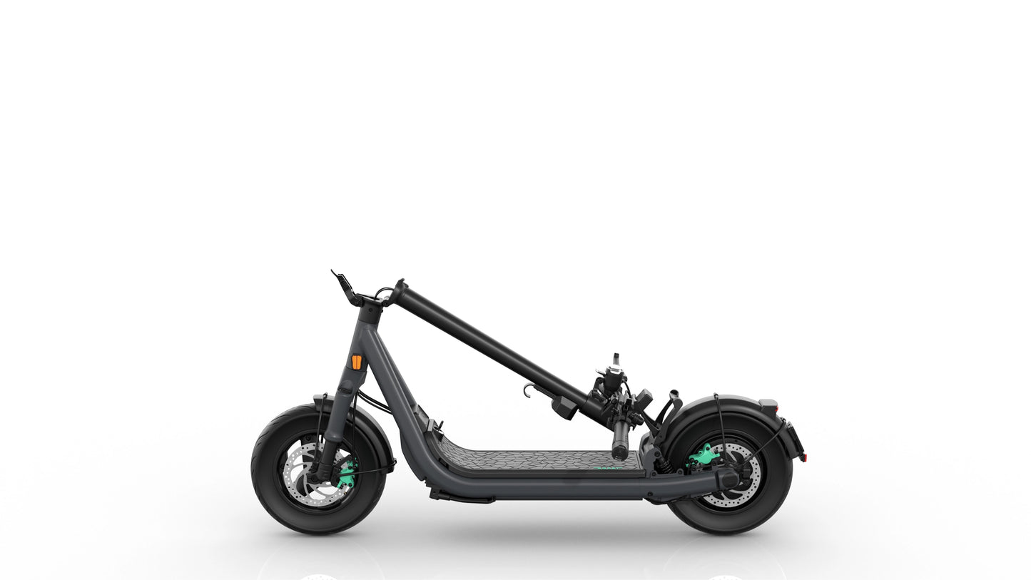 Egret GT – 20 Ah ( 100 KM  Reichweite )